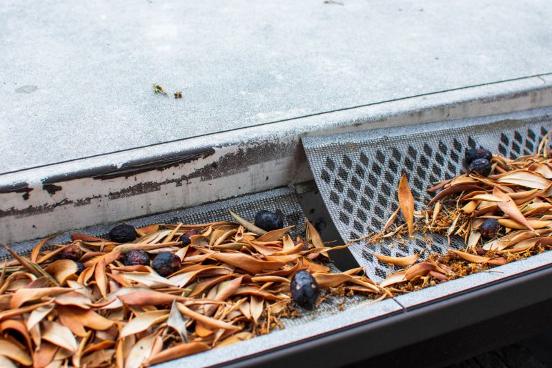Gutter Mesh Installation in Boulder, CO