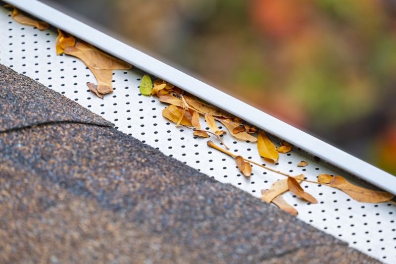 Gutter Guard Replacement in Roseville, CA