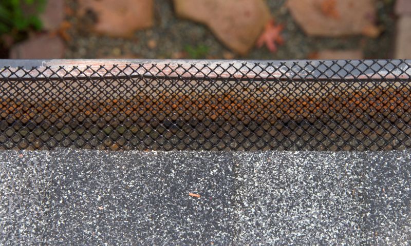 Gutter Mesh Installation in Redmond, WA