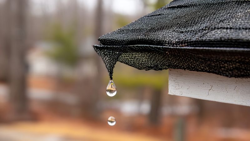 Gutter Mesh Installation in Everett, WA