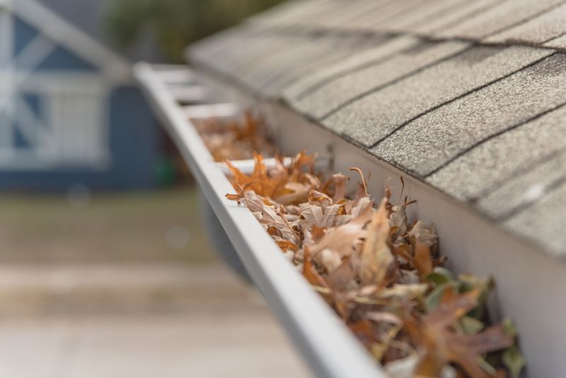 Leaf Barrier Installation in Snohomish County, WA
