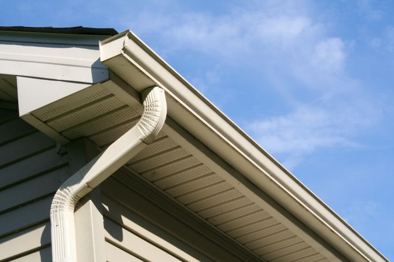 Roof Eaves Repair