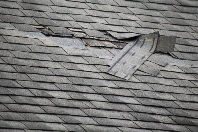 Damaged Eaves